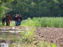 הוילה Opglabbeek De Bosbeekpoort חדר תמונה